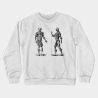 Dual View Human Muscle System - Vintage Anatomy Crewneck Sweatshirt